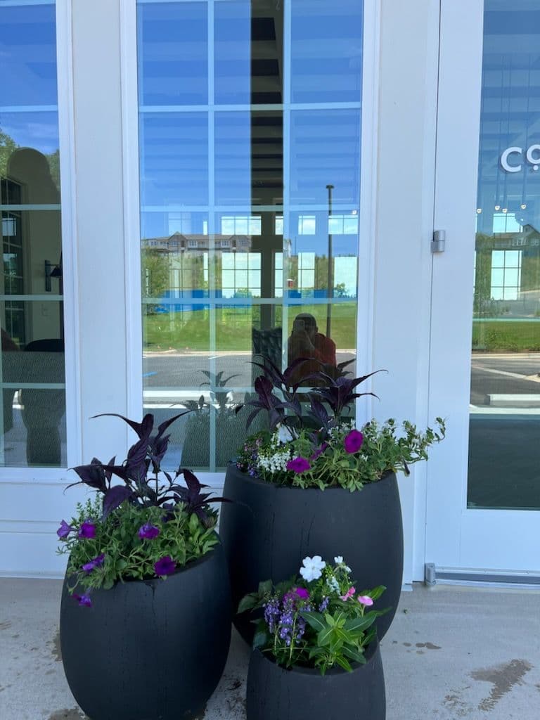Transform Your Entrance with Vibrant Summer Planters
