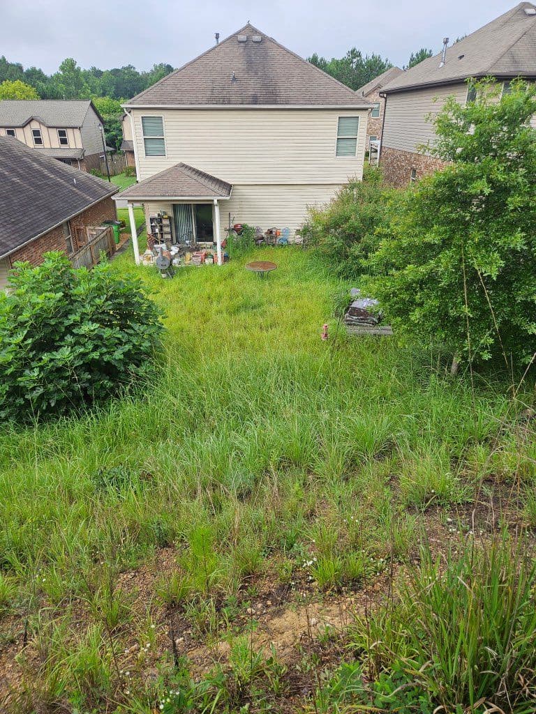 Project Leeds AL Yard Makeover from Wild to Wonderful image