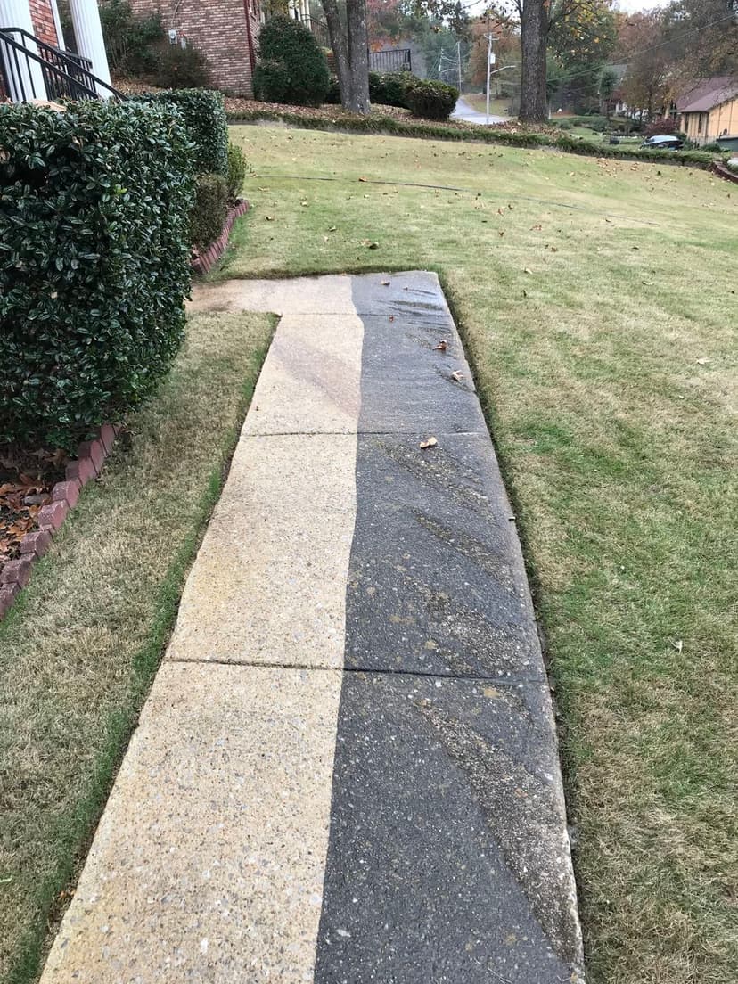 Expert Pressure Washing Solutions's image